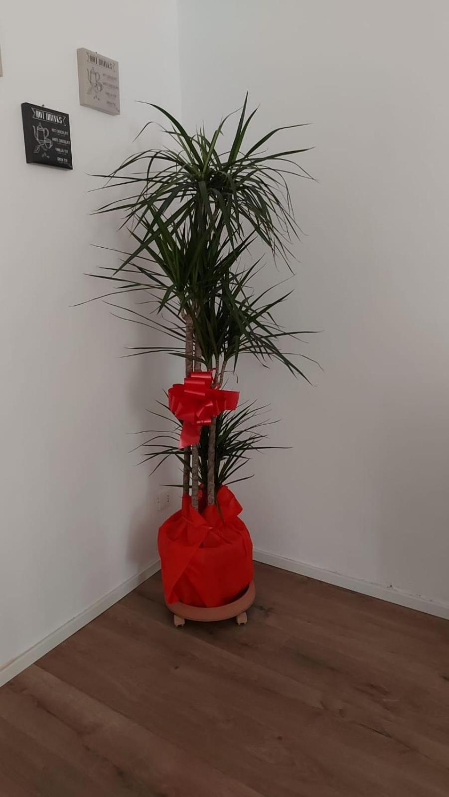 A Casa Di Elena Apartment ปาแลร์โม ภายนอก รูปภาพ